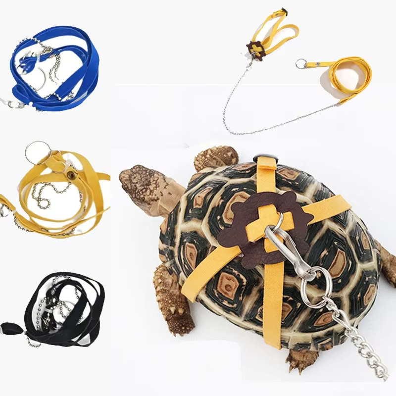 Sabuk Traksi Kura-kura Tali Ko - Water Dish Reptile ulasan dan harga