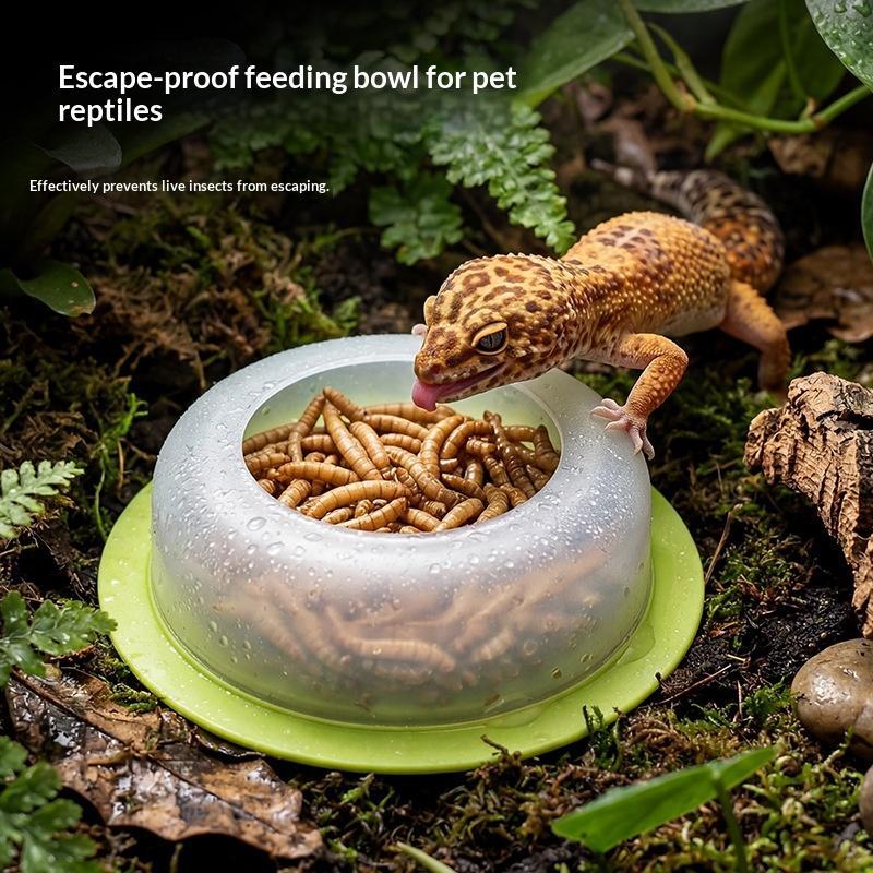 1Pc Mangkuk Makanan Reptil ABS - Water Dish Reptile ulasan dan harga